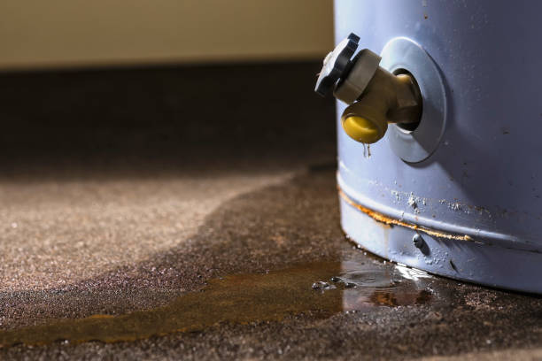 Best Water damage cleanup near me  in Summerlin South, NV