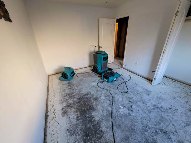 Best Carpet water damage restoration  in Summerlin South, NV