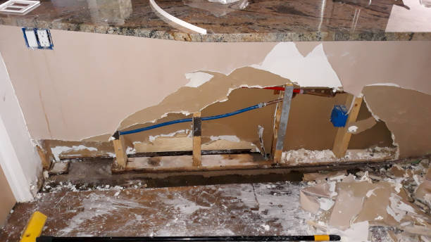 Best Flood restoration services  in Summerlin South, NV