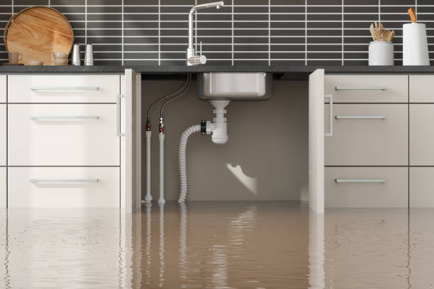 Best Emergency water damage restoration  in Summerlin South, NV