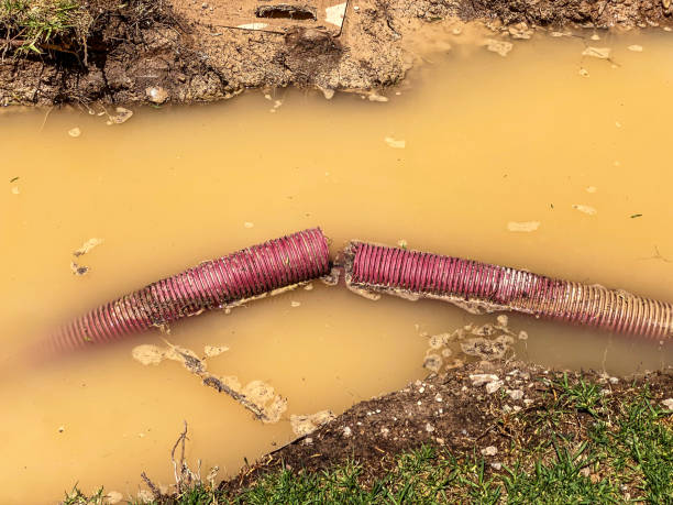 Local water damage restoration in NV