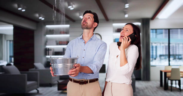 Best Basement water damage restoration  in Summerlin South, NV