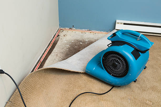 Best Carpet water damage restoration  in Summerlin South, NV